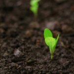 daniel-dan-FMxvHTCRmw-unsplash-scaled-1
