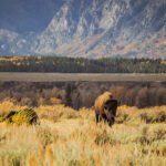 tim-peterson-1099515-unsplash
